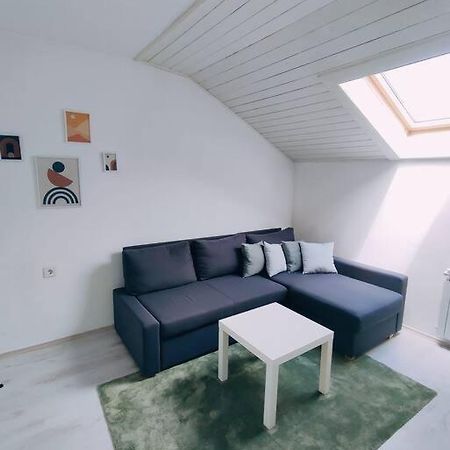 Appartamento Udoban Stan Sa Terasom U Mirnom Okruzenju Zagabria Esterno foto